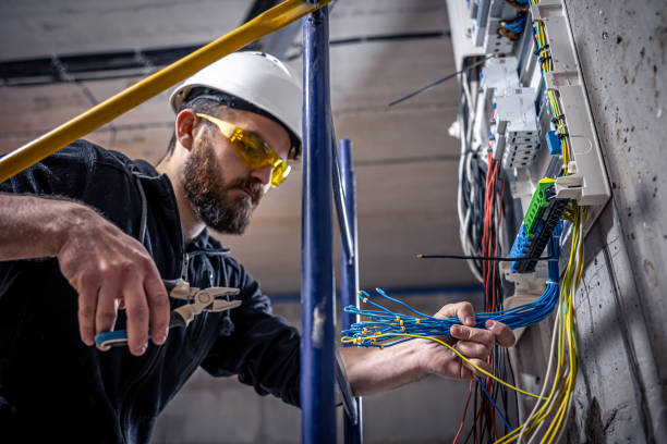 Best Electric Panel Repair  in Lake Hiawatha, NJ
